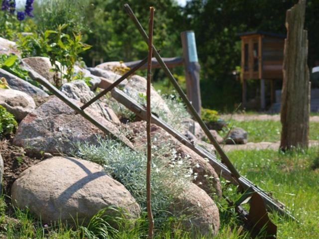 Landhotel Zum Honigdieb Ribnitz-Damgarten Eksteriør bilde